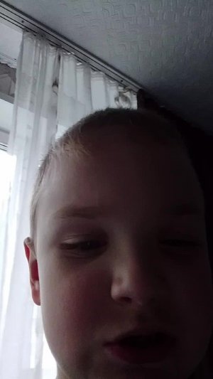 впор
