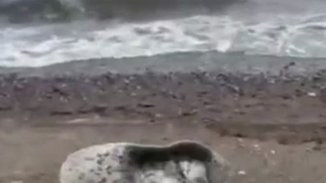 А так сладко спалось❤