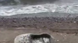 А так сладко спалось❤