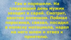 #анекдоты #юмор #Вирус #Тренды #Развлечения #Смешно #смешныеанекдоты