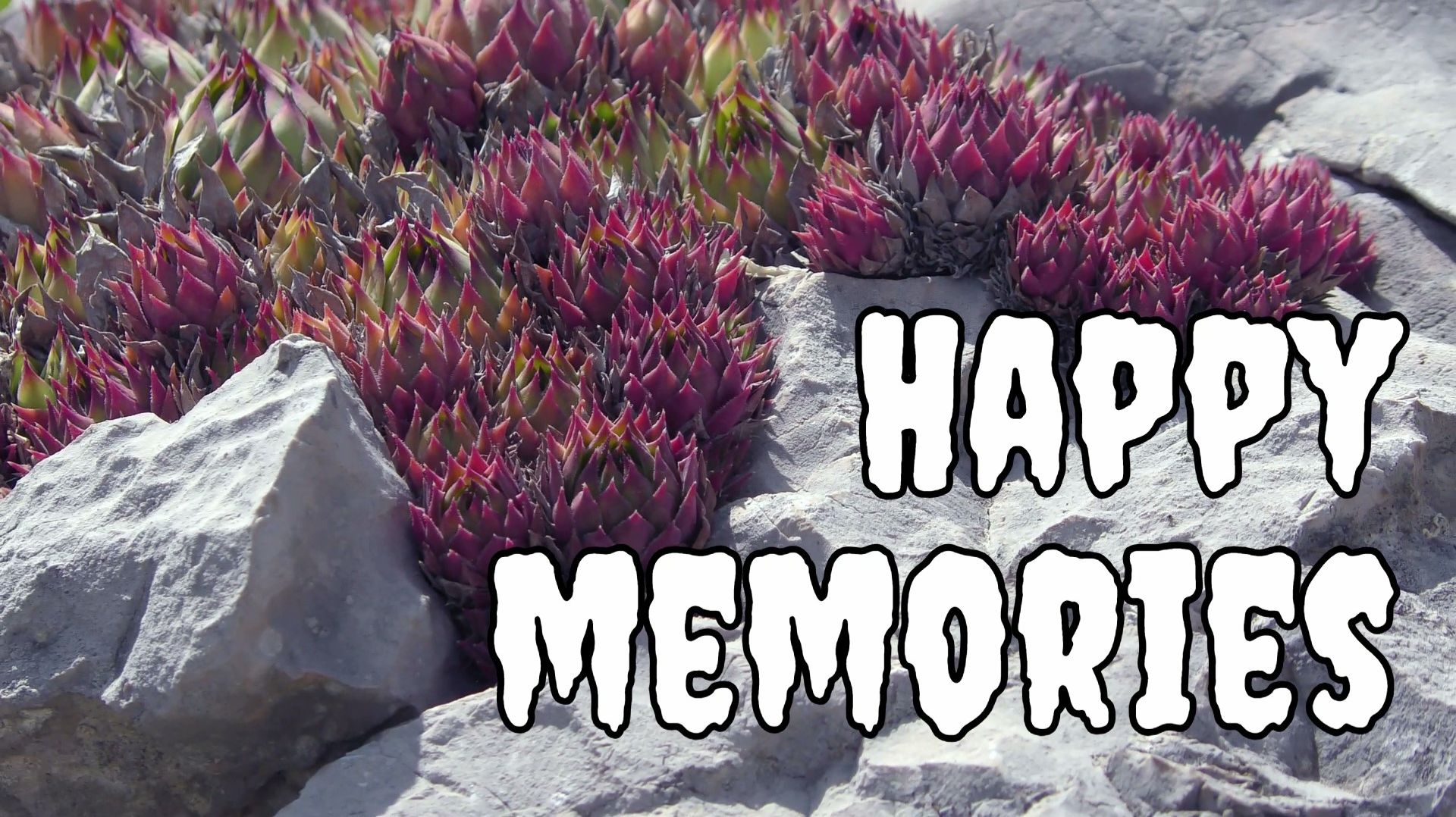 Happy memories
