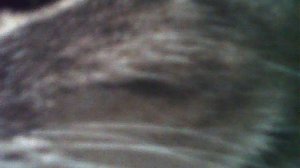 PICT0002