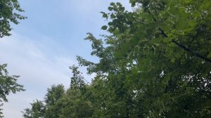 Игорь Панарин: Напомню о Вещем Олеге