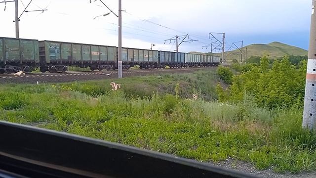 поезда 🚞🚃🚃🚃🚃🚋🚃🚃🚃🚃🚋🚃🚃🚃🚃🚃