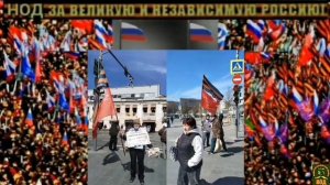 ⚡️Пикетчик🇷🇺