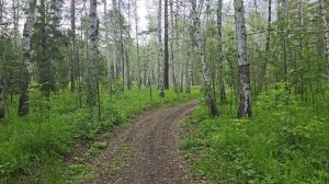 Онлайн-экскурсия по экопарку Рябково (г. Курган)