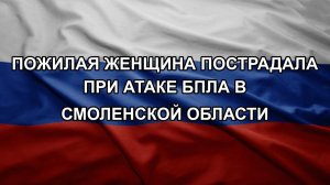Пожилая женщина пострадала при атаке БПЛА в Смоленской области