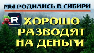 Мы родились в Сибири /Хорошо разводят на деньги