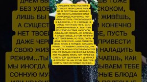 ОЧИЩЕНИЕ ЧЕРЕЗ ПОСЛАНИЕ ТЕБЕ
ОТ ТВОИХ ДУХОВ РОДА
