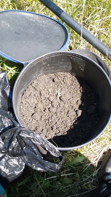 Сегодня порыбачил на поплавок и на донную снасть🎣 Прикормка Стерля (Лещ) Шоколад. Стерля (Ваниль).