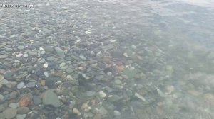 ФТ Сириус. Пляж «Бархатные сезоны», июнь 2026 года.