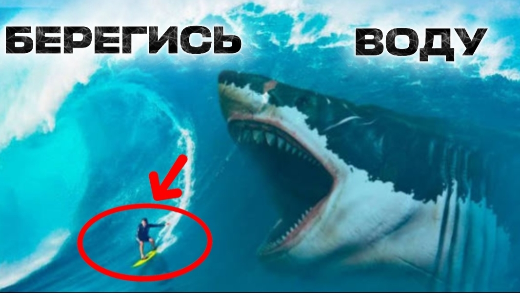 Мегалодон не вымер. И вот почему нам лучше не выходить в море
