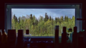 Моя Странная Жизнь. Деревня, Тайга, Медведи, Рыбалка. Мистический Случай.
