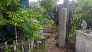Бетонный пасынок, наконец -то поставили на столб.