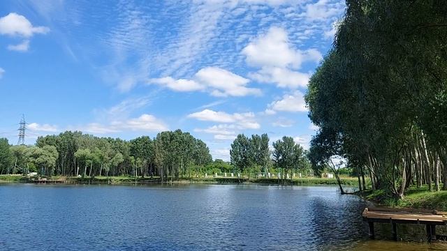 Белгород сегодня. 14.06.26