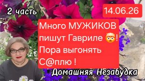 2 часть. Много МУЖИКОВ пишут Гавриле🤯❗️Пора выгонять с@плю❗️