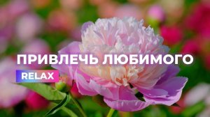 Привлечь любимого (конкретного) мужчину. Привлечь избранника. RELAX версия | Саблиминал для женщин