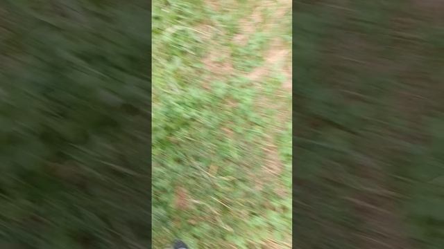 влог 4 часть смотреть онлайн