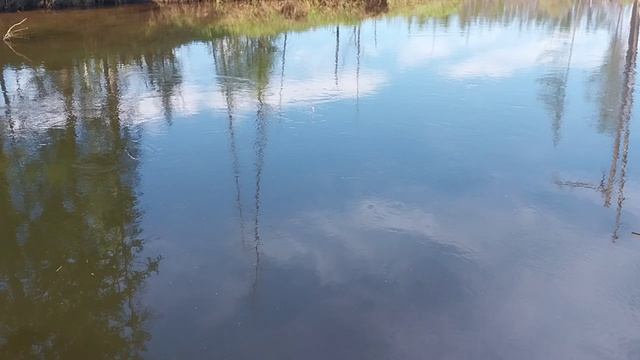 1000061497.mp4