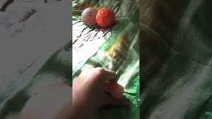 1000015166.mp4