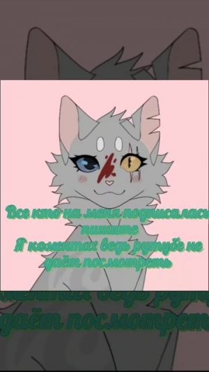 Орите мне в коменты