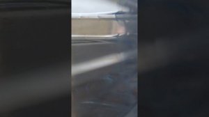 9033.mp4