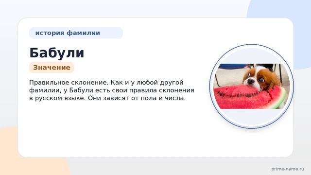 Фамилия Бабули: происхождение, значение и склонение