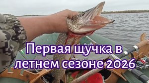 Первая щучка в летнем сезоне 2026