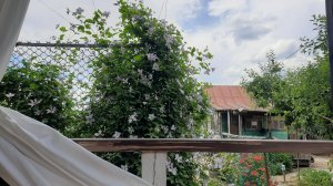 Откровения с 4х соток. А стоит ли дальше снимать 🌺🏡🏞? 🤔