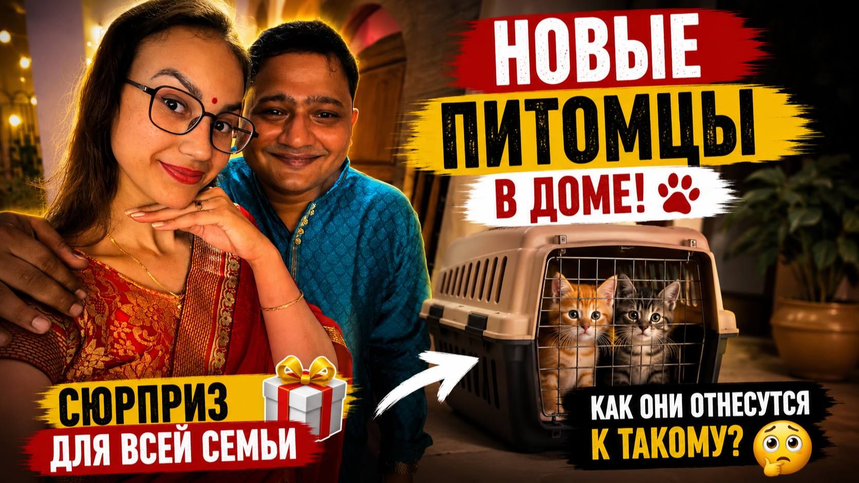 Новые питомцы в доме! Сюрприз для всей семьи. Переживаем, как семья и наши питомцы отреагируют смотреть онлайн