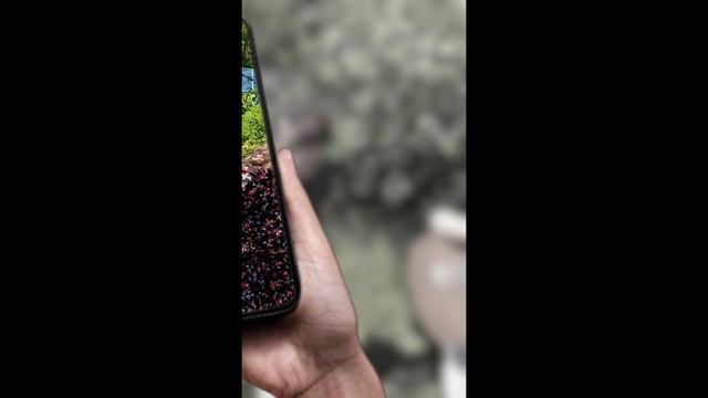 песня про яблони.mp4 смотреть онлайн