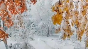 ***ЛЕТЯТ ГОДА КАК СТАЯ ПТИЦ ***1000003743.mp4