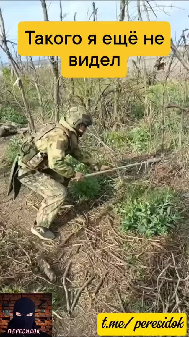 Новый способ разминирования лепестков