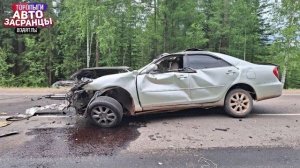 ✅ 🚗 Дорожные Кульбиты Торопыг и Водятлов! Июнь ДТП