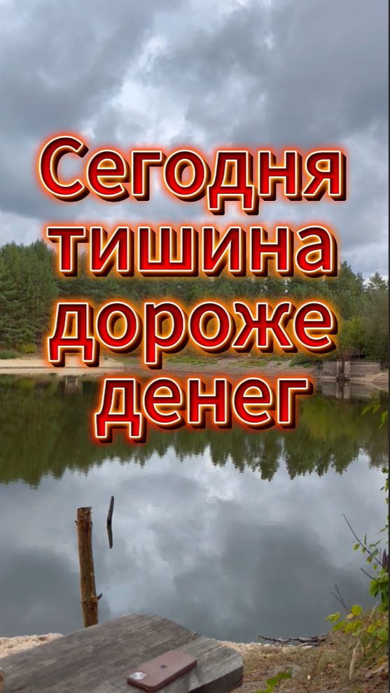 Почему тишина стала роскошью