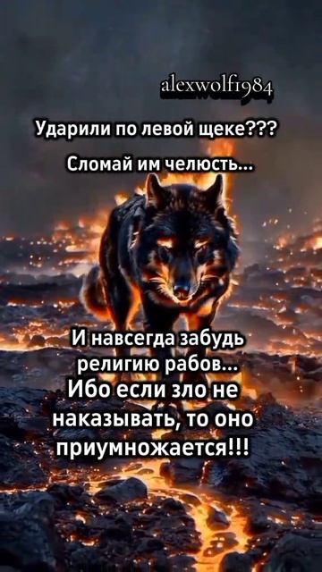 Во так Россия должна отвечать