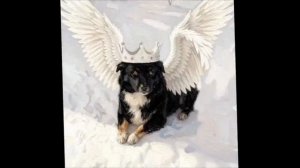 Видео Церберу!