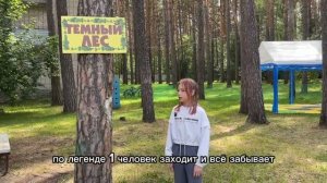 тёмный лес