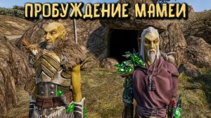 Пробуждение Мамеи - Morrowind Online (TES3MP) | 70