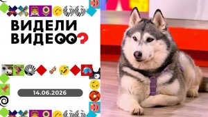 Видели видео? Выпуск от 14.06.2026