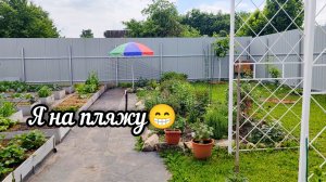 Погибли две гортензии.Мой пляж.Начинают распускаться розы