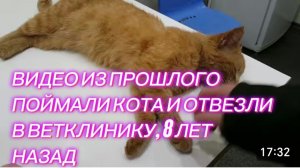 САМВЕЛ АДАМЯН, ПО ПРОСЬБАМ ЗРИТЕЛЕЙ, У САШИ В ГОСТЯХ, ЗАБРАЛИ КОТА, 5 ЛЕТ НАЗАД..