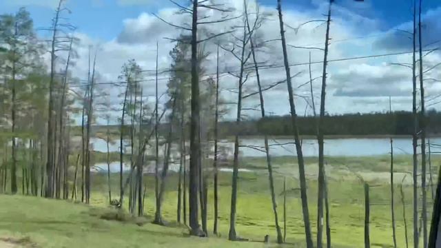 Такие вот дела смотреть онлайн