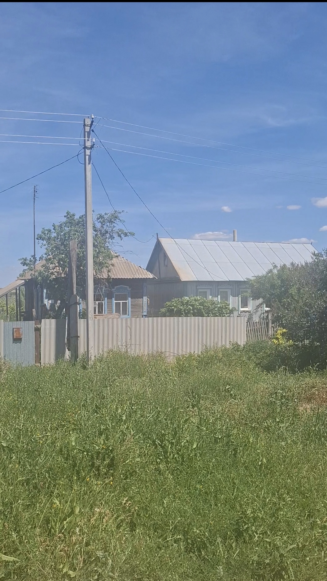 На всю громкость! Летняя деревня в 10 утра в воскресенье💐птицы и покой #лето #деревня #природа