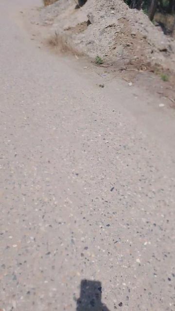 2 часть на велеке