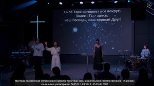 Скиния Online:Live