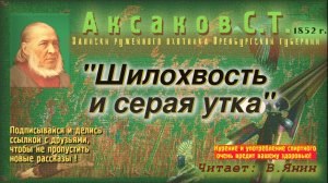 С.Т.Аксаков «Записки ружейного охотника № 12»