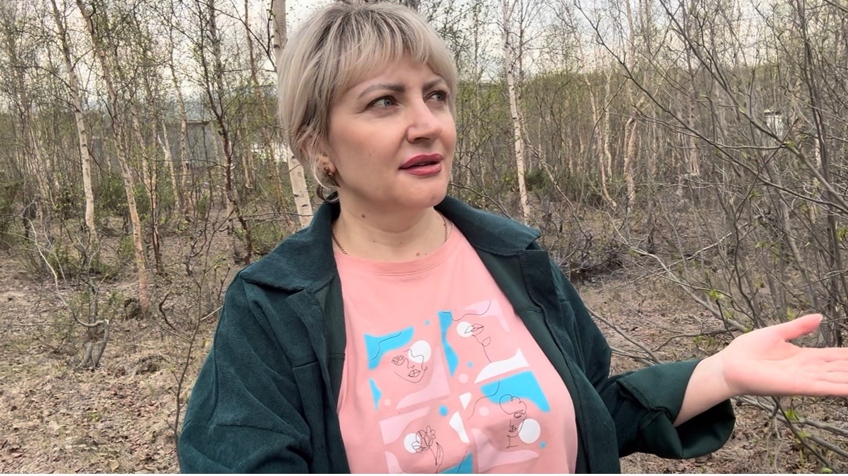 Норильск/ Тундра зеленеет в июне/ Приехали на дачу.