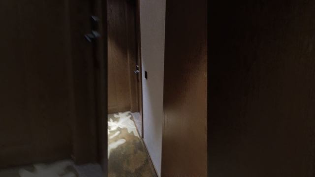 1000025889.mp4 смотреть онлайн