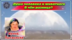 Ирина Подзорова. Проект Кассиопея.Душа человека и животного.В чём разница?14-06-2026